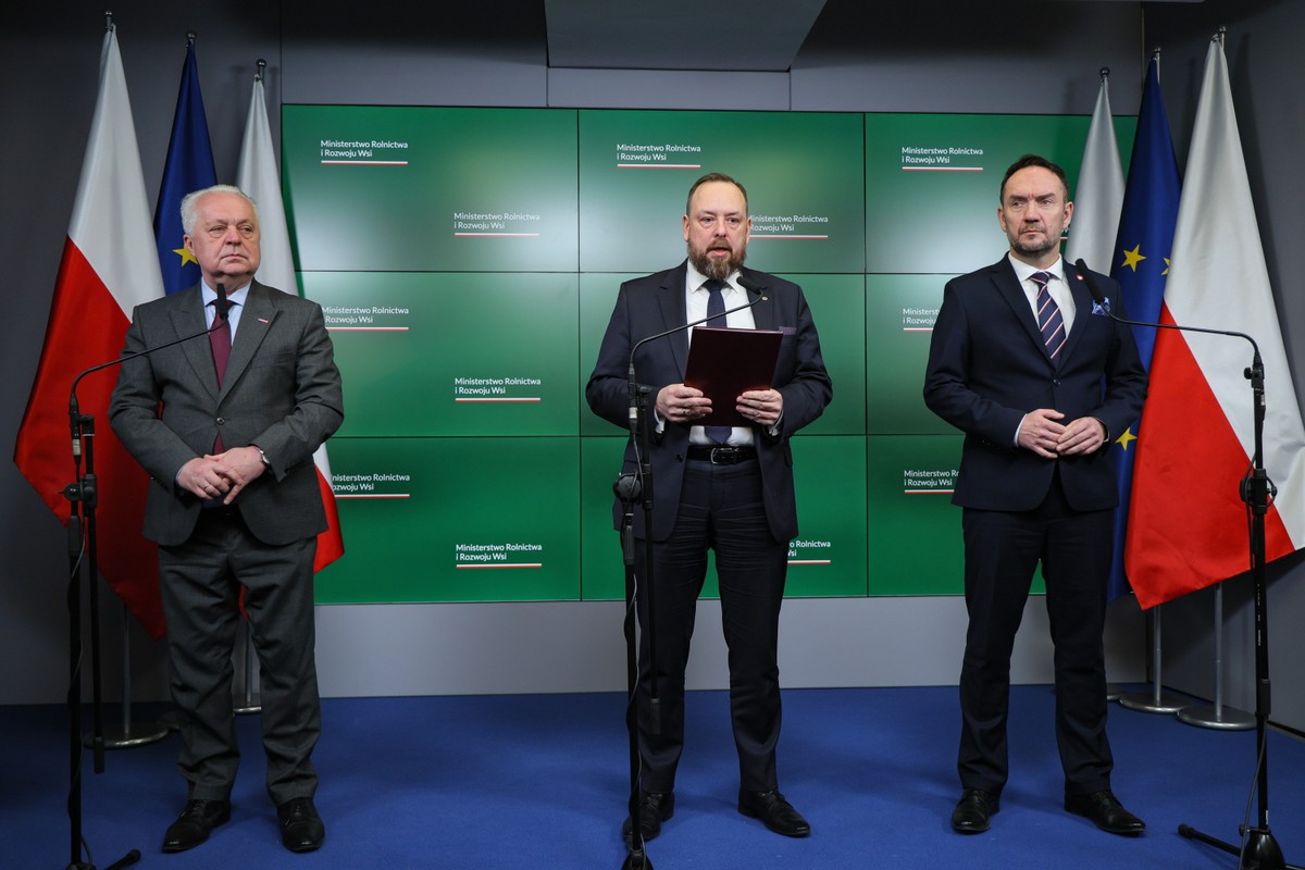 Paweł Meyer, Tomasz Szymański, Jacek Czerniak