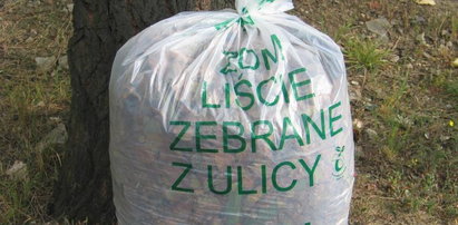 ZDM odbierze Ci liście