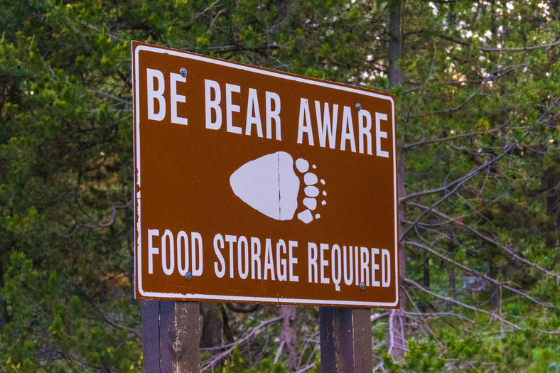 Uwaga na niedźwiedzie