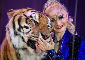 Karmen Cander, nemačka "Kraljica tigrova"