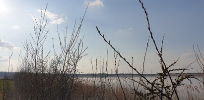 Jaka pogoda po świętach? Słońce, chmury i deszcz. Ciepło zostanie, ale tydzień będzie deszczowy [PROGNOZA IMGW]