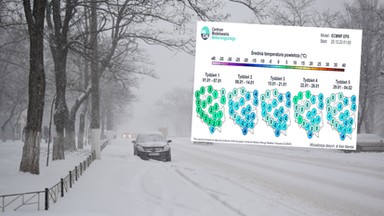 Pogoda. Szykuje się "tąpnięcie" temperatury. Wiemy, kiedy nadejdzie sroga zima [PROGNOZA]