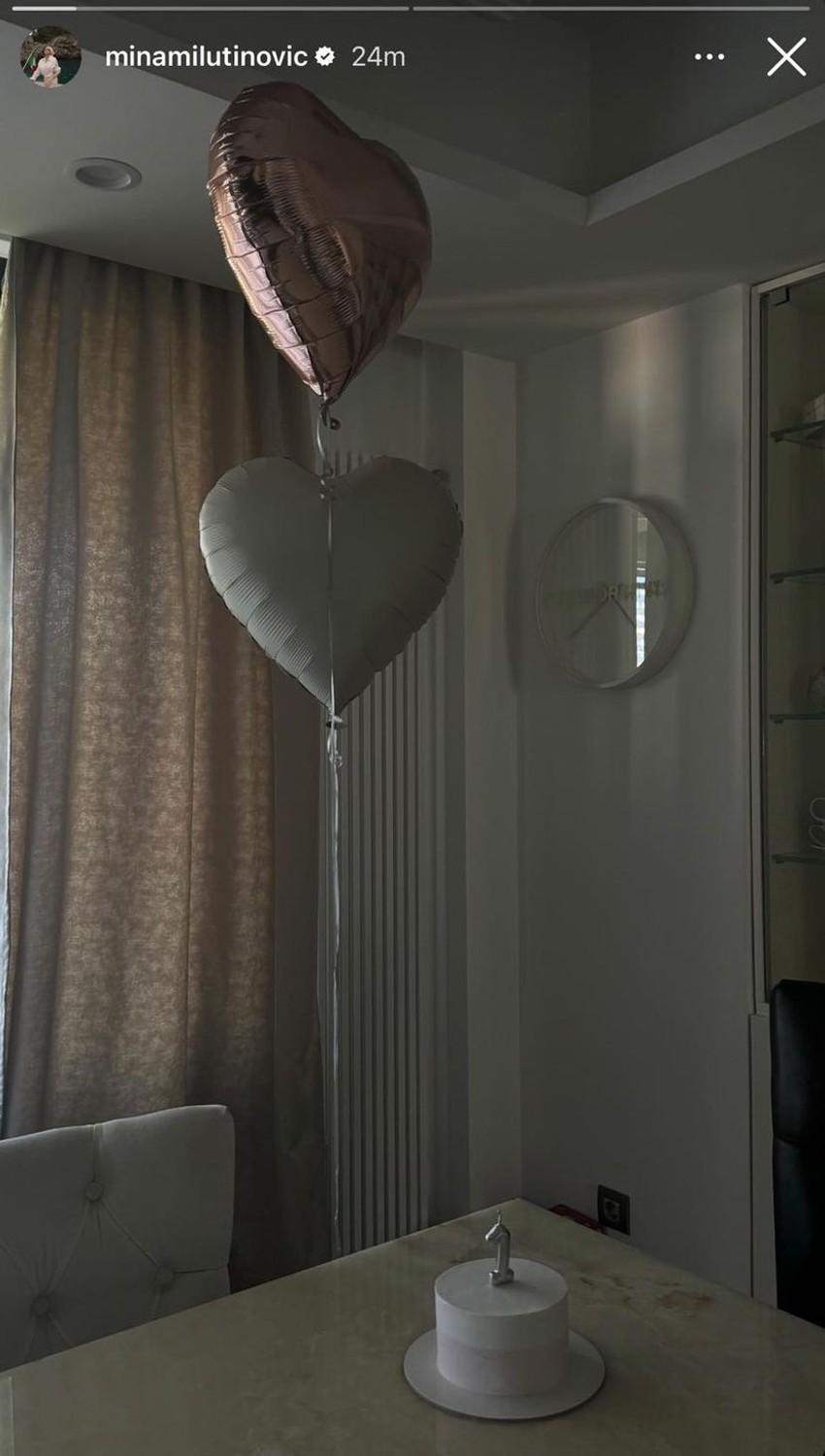 Slavlje u domu Nedovića