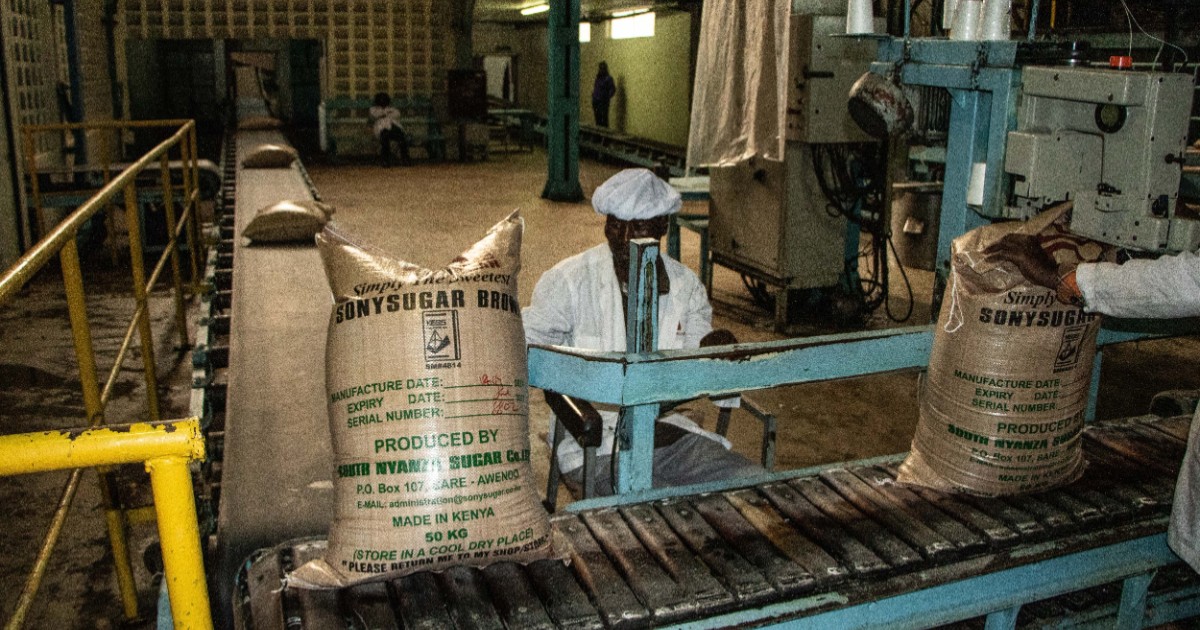 Kenya bets on competitive market as duty-free sugar imports return after 24 years