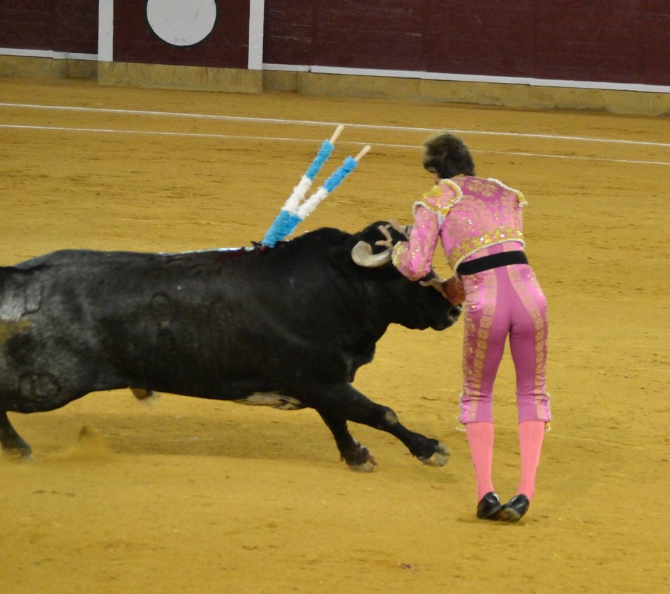 Bullfighter Juan Jose Padilla