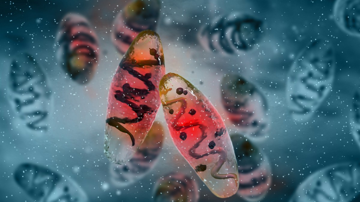 Kugu izaziva bakterija Yersinia pestis