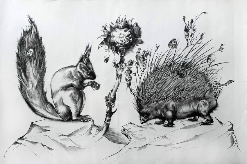 Nigredo, Damjan Kovačević