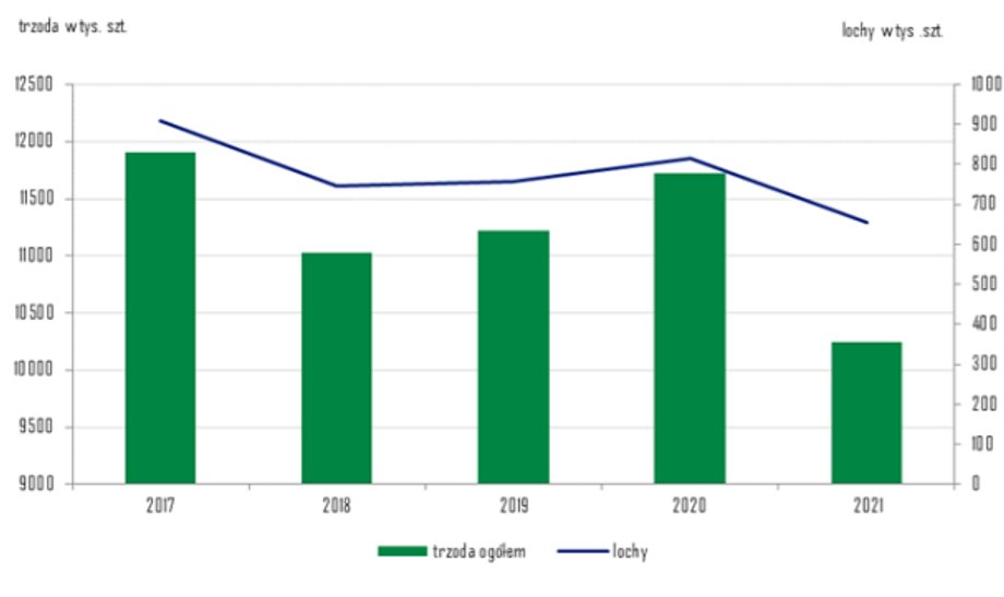 Pogłowie trzody chlewnej i loch w latach 2007-2021