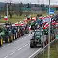 Protesty rolników odbiją się czkawką nie tylko ukraińskim, ale i polskim firmom