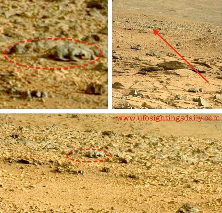 Sve je jasno: Na marsu je snimljen "gušter"!