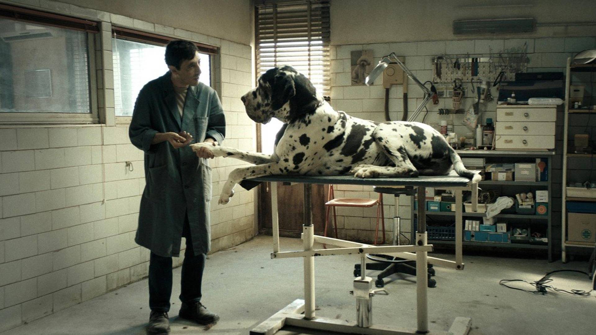 Film "Dogman" je u Italiji zasenio "Call Me by Your Name"