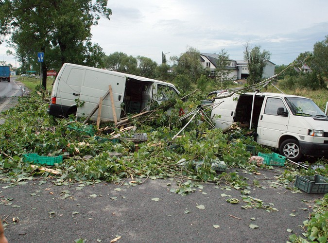 W okolicach Warszawy drzewo zwaliło się na stragan z owocami