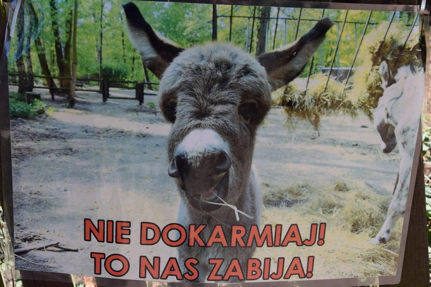 Akcje uświadamiające odwiedzających zoo