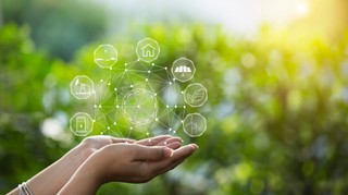 Ochrona przyrody: Jak postępować przy wydawaniu decyzji lokalizacyjnych i uchwalaniu planów miejscowych