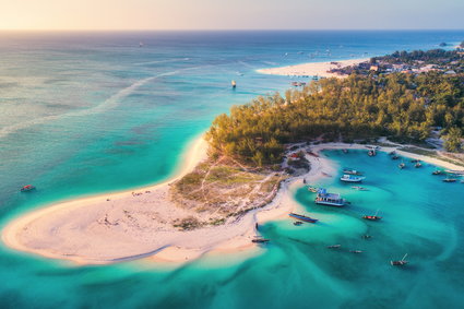 Ile kosztuje lot na Zanzibar? W pandemii to jeden z najbardziej popularnych kierunków