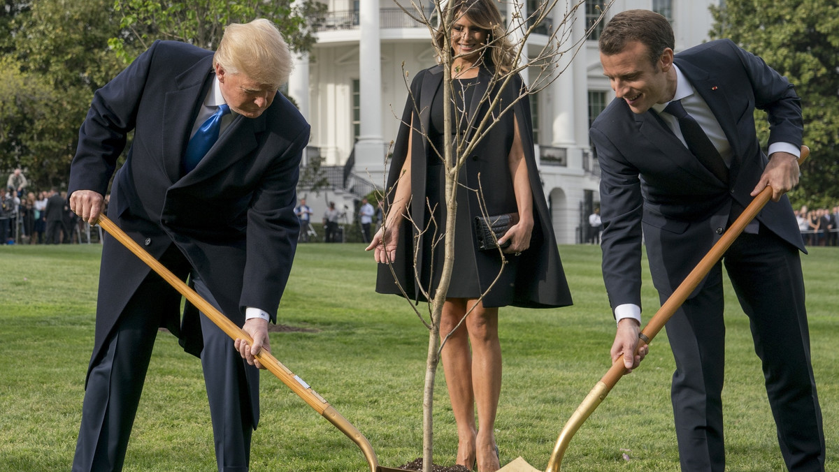 W kwietniu 2018 roku prezydenci Stanów Zjednoczonych i Francji zasadzili wspólnie dąb. Miał on symbolizować silną więź tych krajów jako sojuszników. Nieco ponad rok później drzewko uschło.
