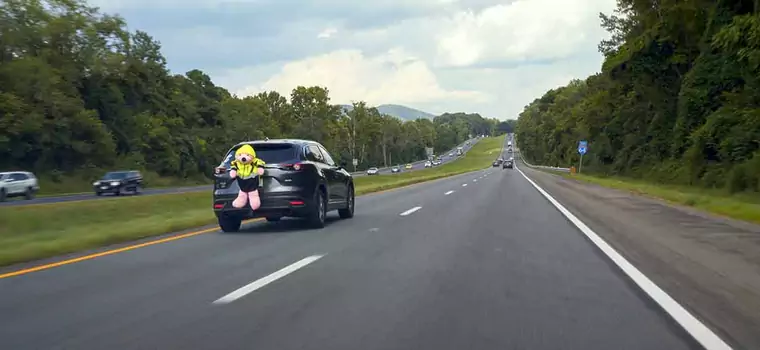 A czy ty widzisz wielkiego misia? Nowy sposób na badanie kierowców