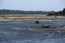 Dramatycznie niski stan Wisły w Warszawie. Czy mieszkańcom zabraknie wody?