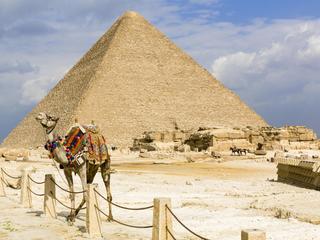 Egypt, Cairo: dromedary in front of the Great Pyramid of Giza (also known as the Pyramid of Khufu or