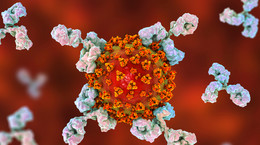 Włoscy naukowcy twierdzą, że opracowali szczepionkę przeciwko koronawirusowi