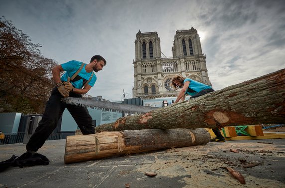 Odbudowa katedry Notre Dame w Paryżu: proces tworzenia drewnianej konstrukcji 