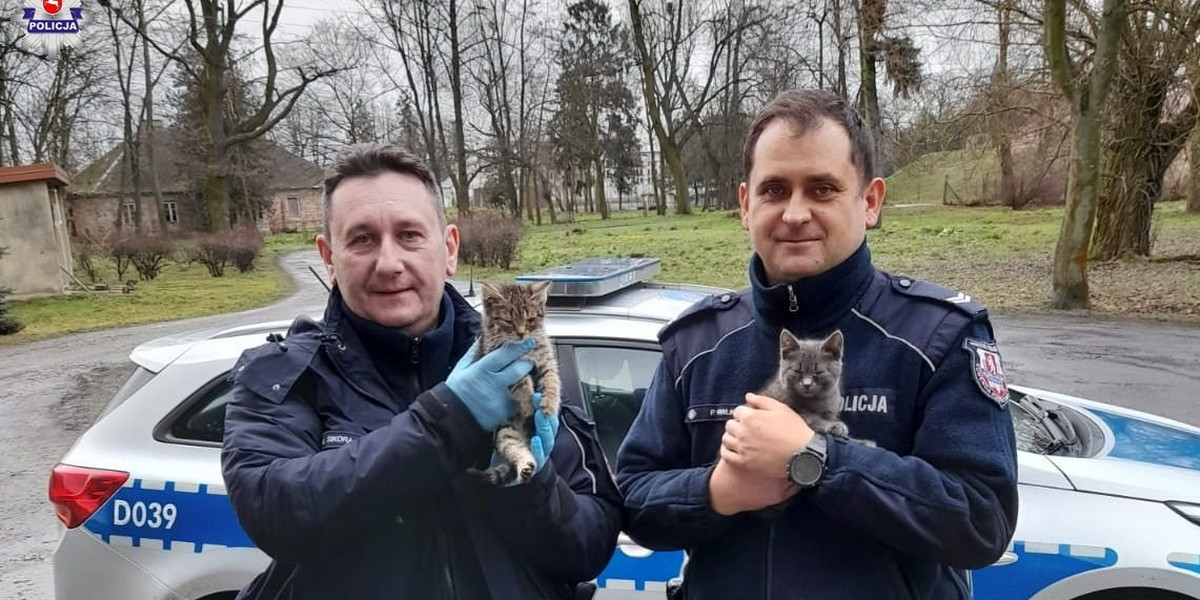 Policjanci uratowali małe kotki.