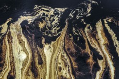 Porwali prawie 100 turystów. 'Dzieci mają trucizny w swojej krwi'