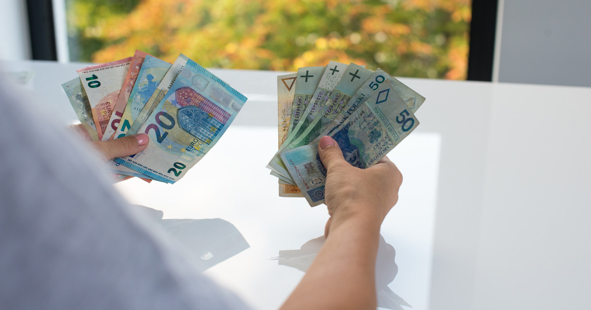 Prognose für den polnischen Zloty bis Ende 2025. Viel Optimismus, aber es gibt Gefahren