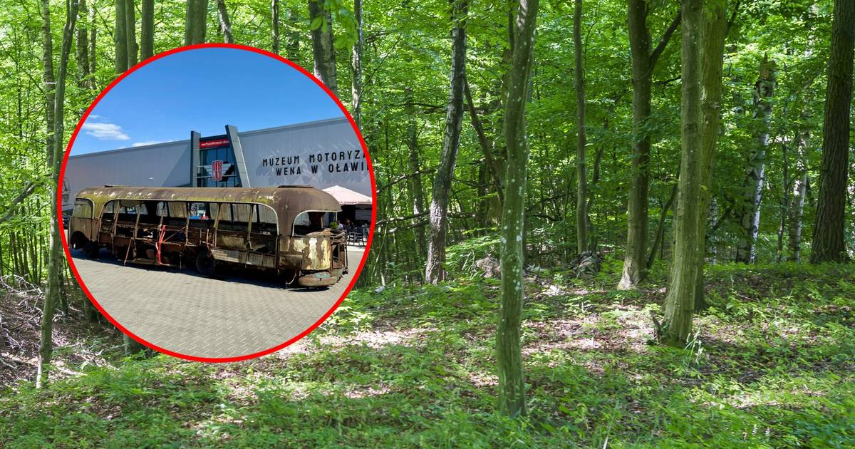 Zabytkowy autobus odnaleziony w polskim lesie. To ostatni taki model