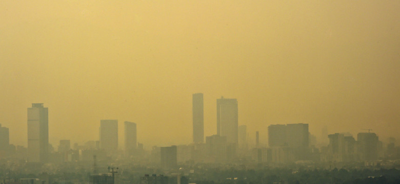 Czasowy zakaz ruchu samochodów w Meksyku z powodu smogu