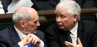 Macierewicz wrócił do łask