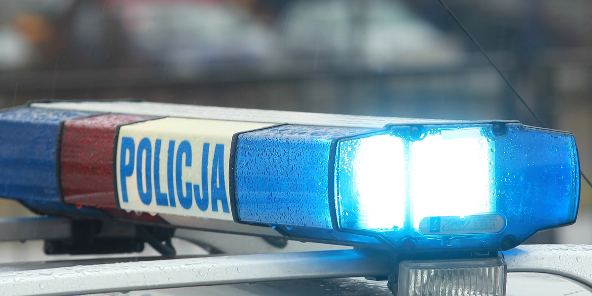Komenda Miejska Policji w Sopocie poszukuje młodych mężczyzn, którzy zniszczyli rzeźbę