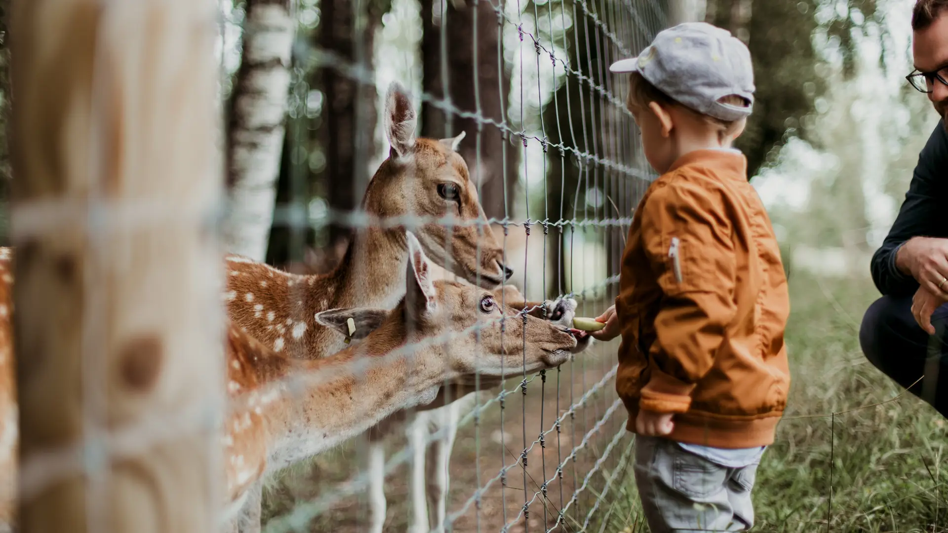 Co wstępuje w rodziców w zoo? Ryzykują życie dzieci i zwierząt, bo "Brajanek musi lepiej widzieć"