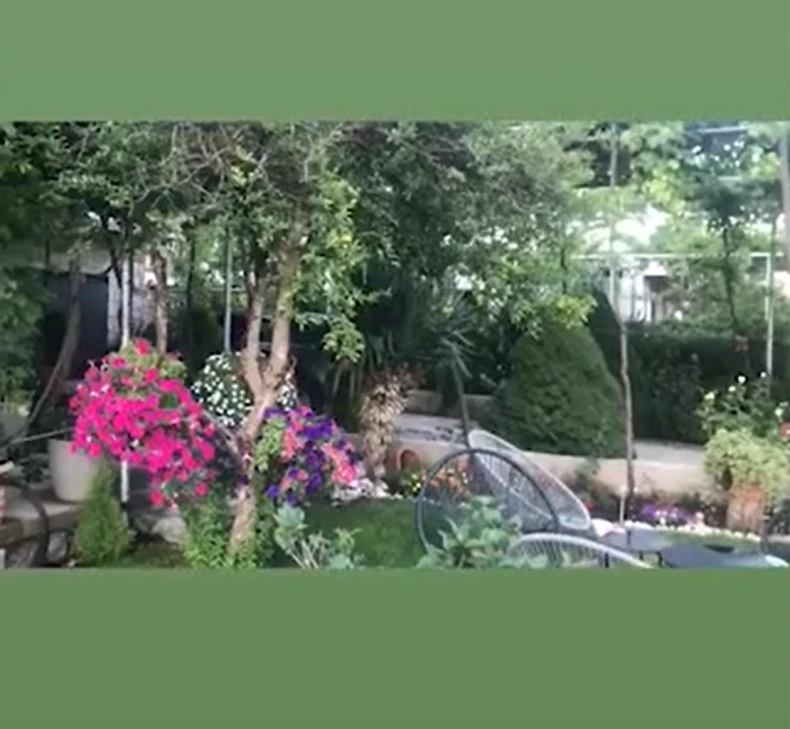 Nataša Ninković, imanje