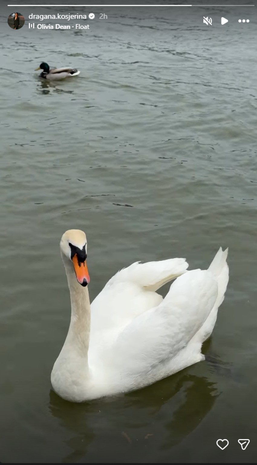 Dragana Kosjerina pokazala kako uživa