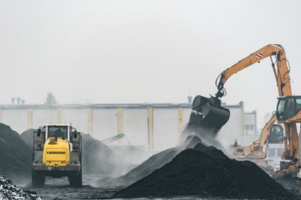 Tyle węgla Polakom rozdały samorządy