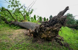 Burzowa sobota w całym kraju. 1595 interwencji strażaków