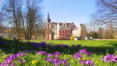 Park Mużakowski - niezwykły park pałacowy z listy UNESCO