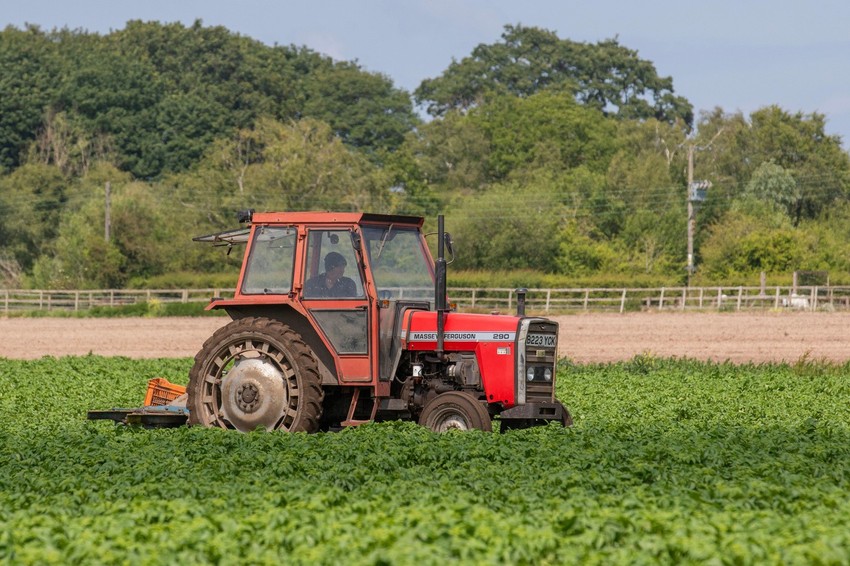 Poljoprivreda, njiva, ilustracija