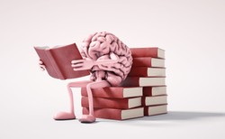 Co lepiej trenuje pamięć: czytanie książek czy krzyżówki? Naukowcy dają odpowiedź