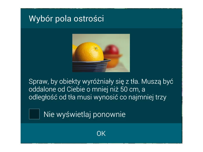 Zdjęcie nr 1