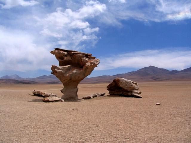 Galeria Argentyna, Boliwia, Peru - Z aparatem na Altiplano, obrazek 11