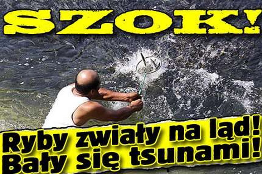 Szok! Ryby zwiały na ląd! Bały się tsunami!