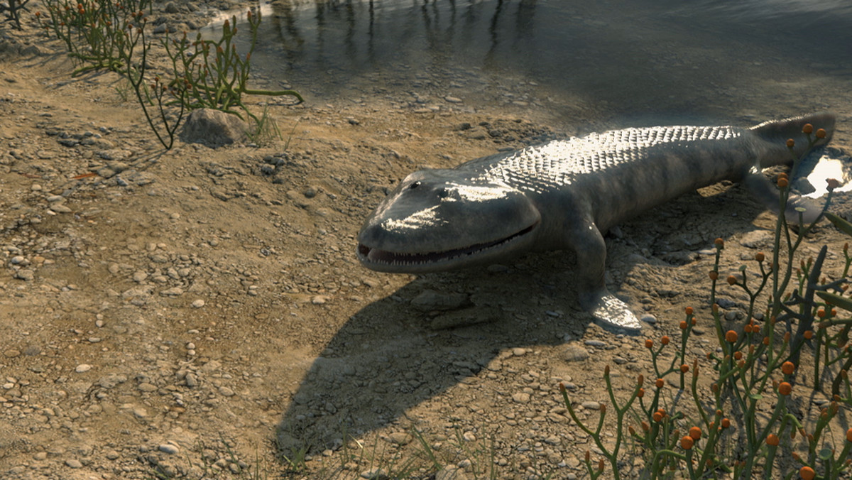 Pięć razy w historii naszej planety życie zanikło niemal całkowicie. Czy pewnego dnia ludzie mogą podzielić los mamutów i dinozaurów? Zgodnie z teorią Darwina, wszystkie organizmy na Ziemi mają jednego praprzodka. Skoro więc tak jest, czemu jedne gatunki wymierają, podczas gdy inne mają się świetnie? Odpowiedź na to pytanie przyniesie seria dokumentalna "Ewolucja w kilku odsłonach".