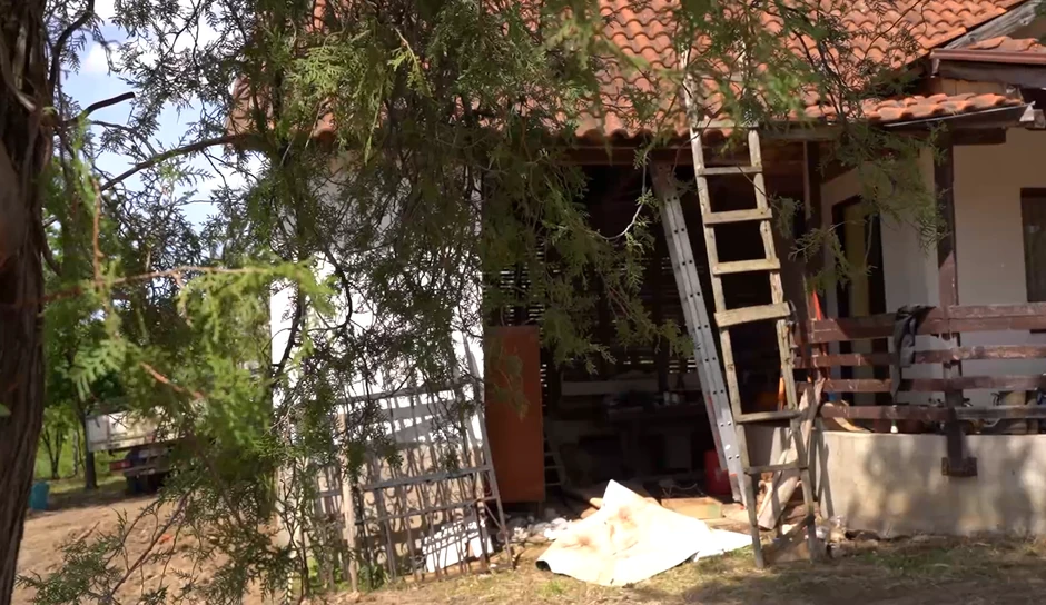 Živkica Miletić, emisija "Metar moga sela"