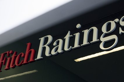 Z państwowego banku do agencji ratingowej. Fitch w Polsce ma nową prezes