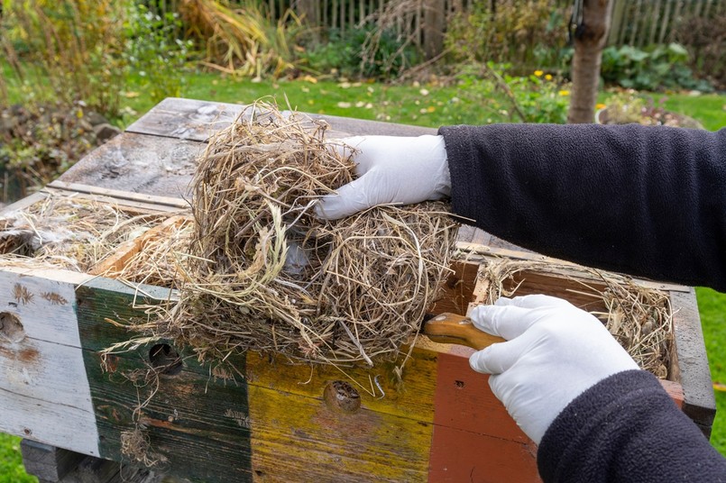 czyszczenie budek lęgowych w rękawicach