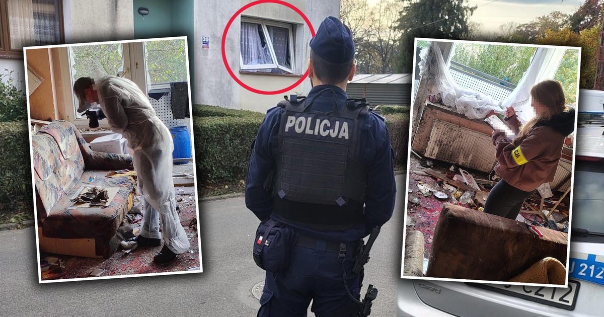 Kilka lat temu znalazł go w lesie i zabrał do domu. Teraz doszło do tragedii