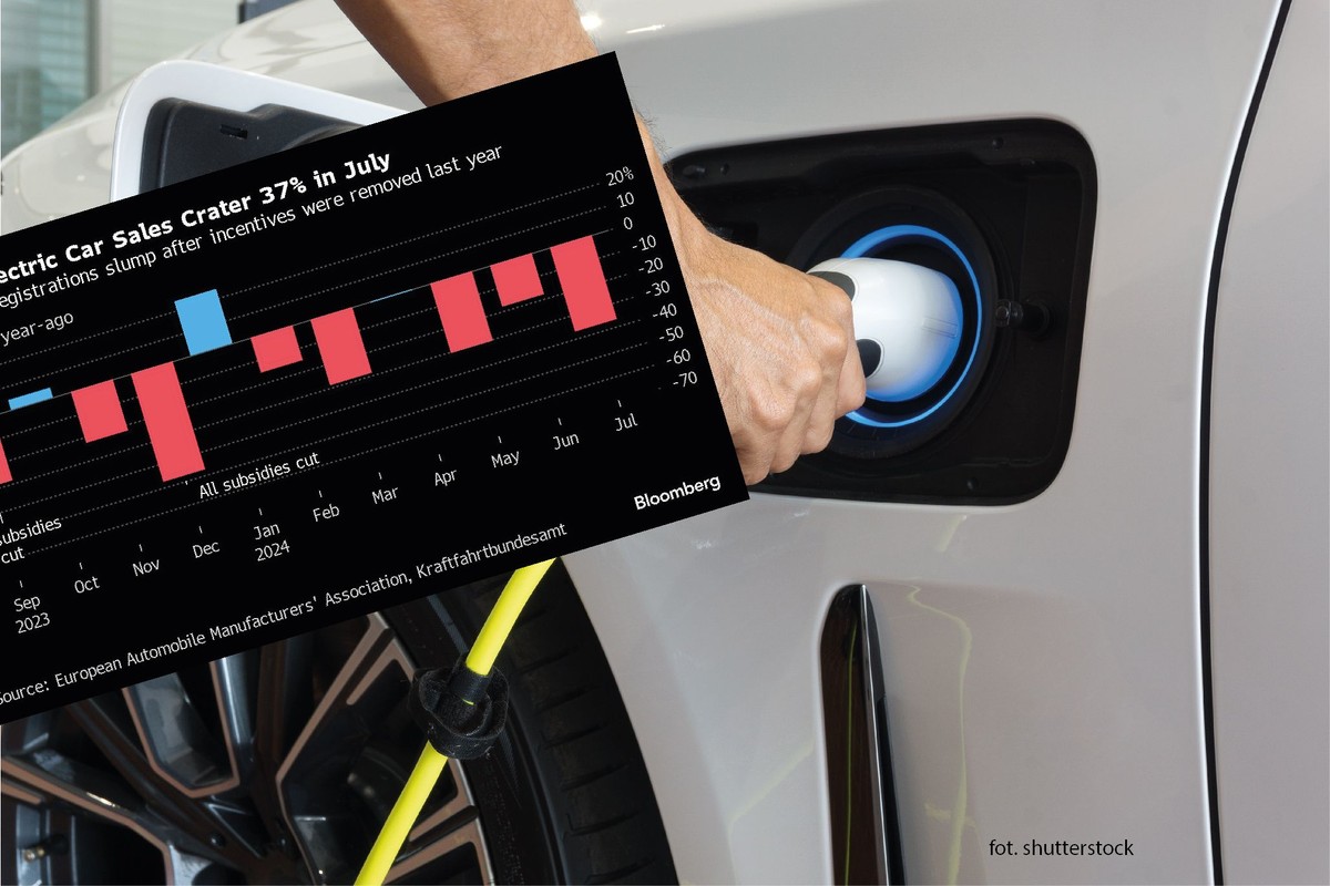 Rejestracje samochodów elektrycznych w Niemczech