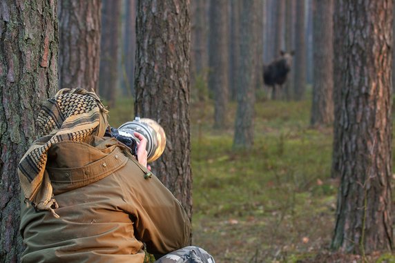 Fotografia przyrodnicza po drugiej stronie lustra